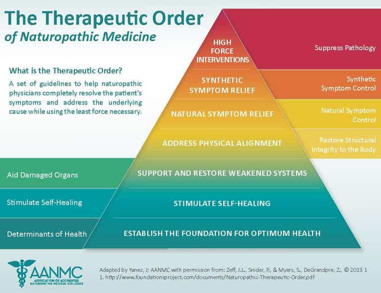 Infographic “Therapeutic Order of Naturopathic Medicine” triangular levels from self-healing to symptom control and pathology