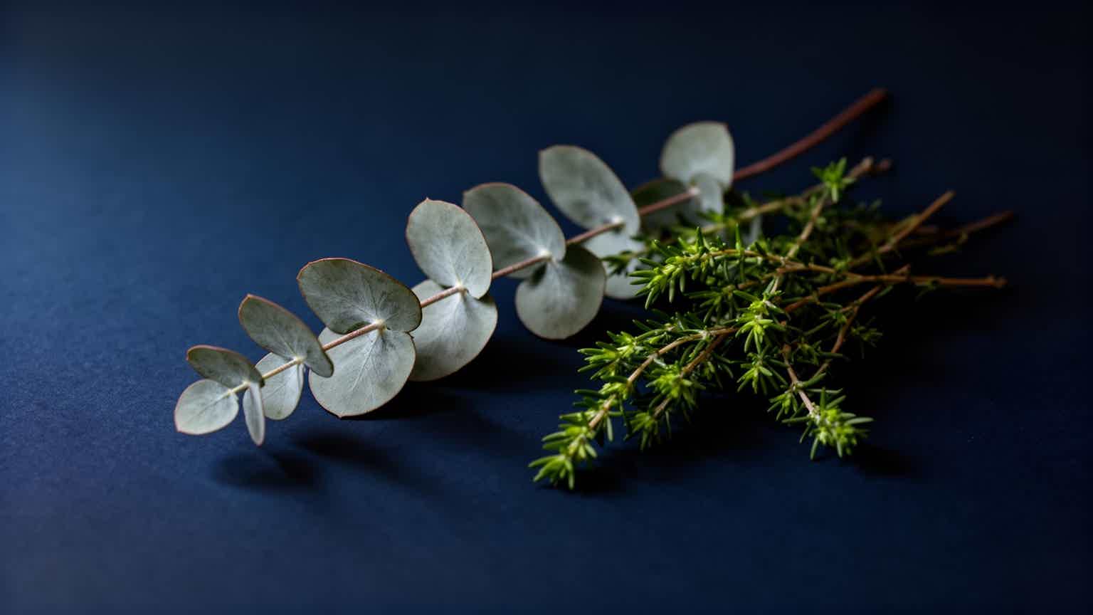 The Grace Method botanical