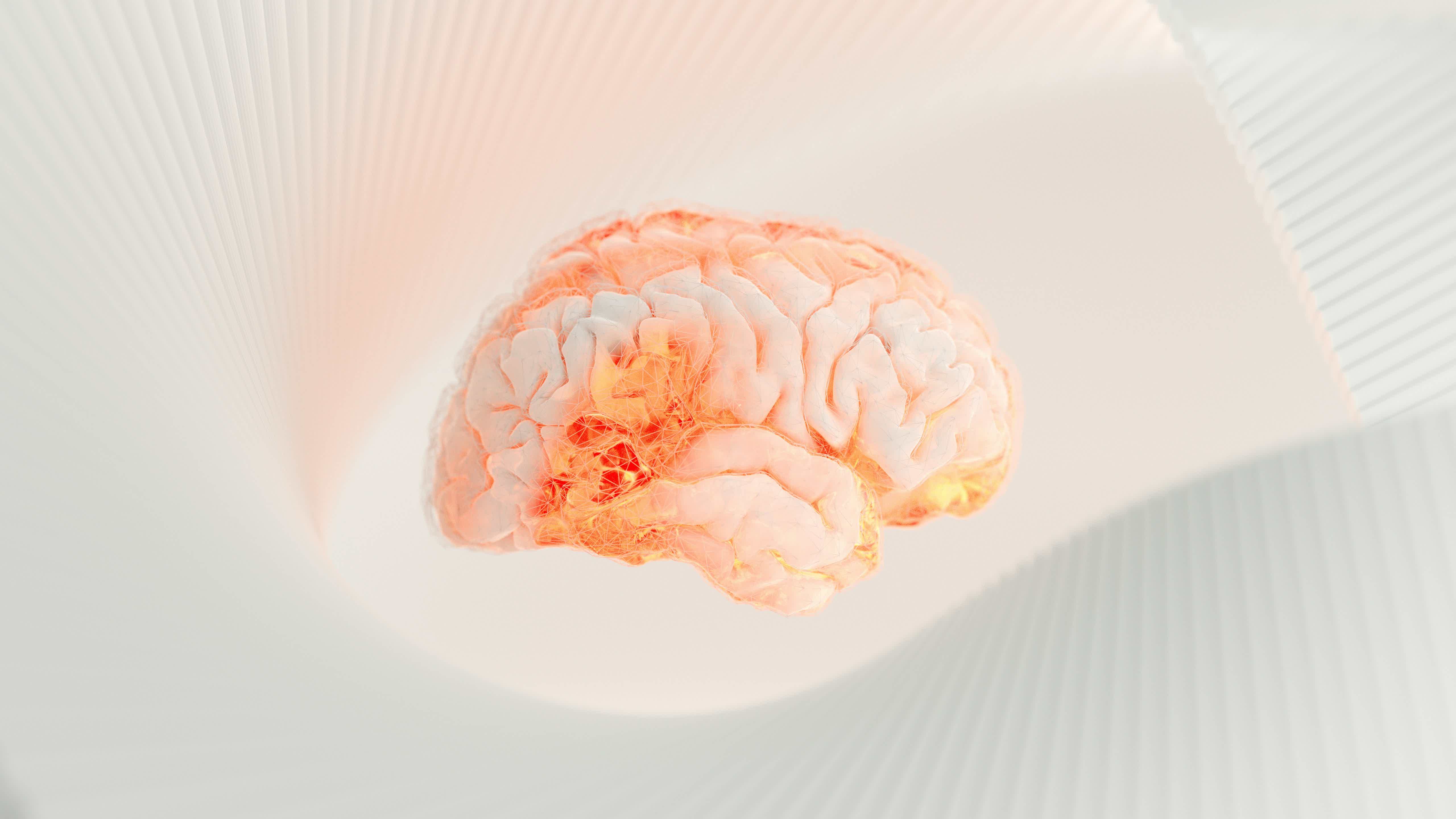 a close up of a human brain on a white surface