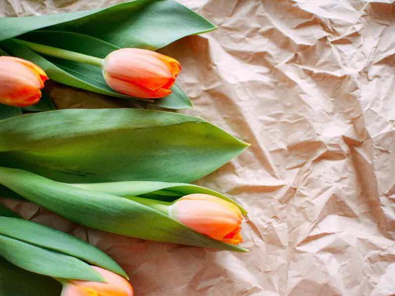 I’m Menopausal…What Should I be Eating? | Clementine