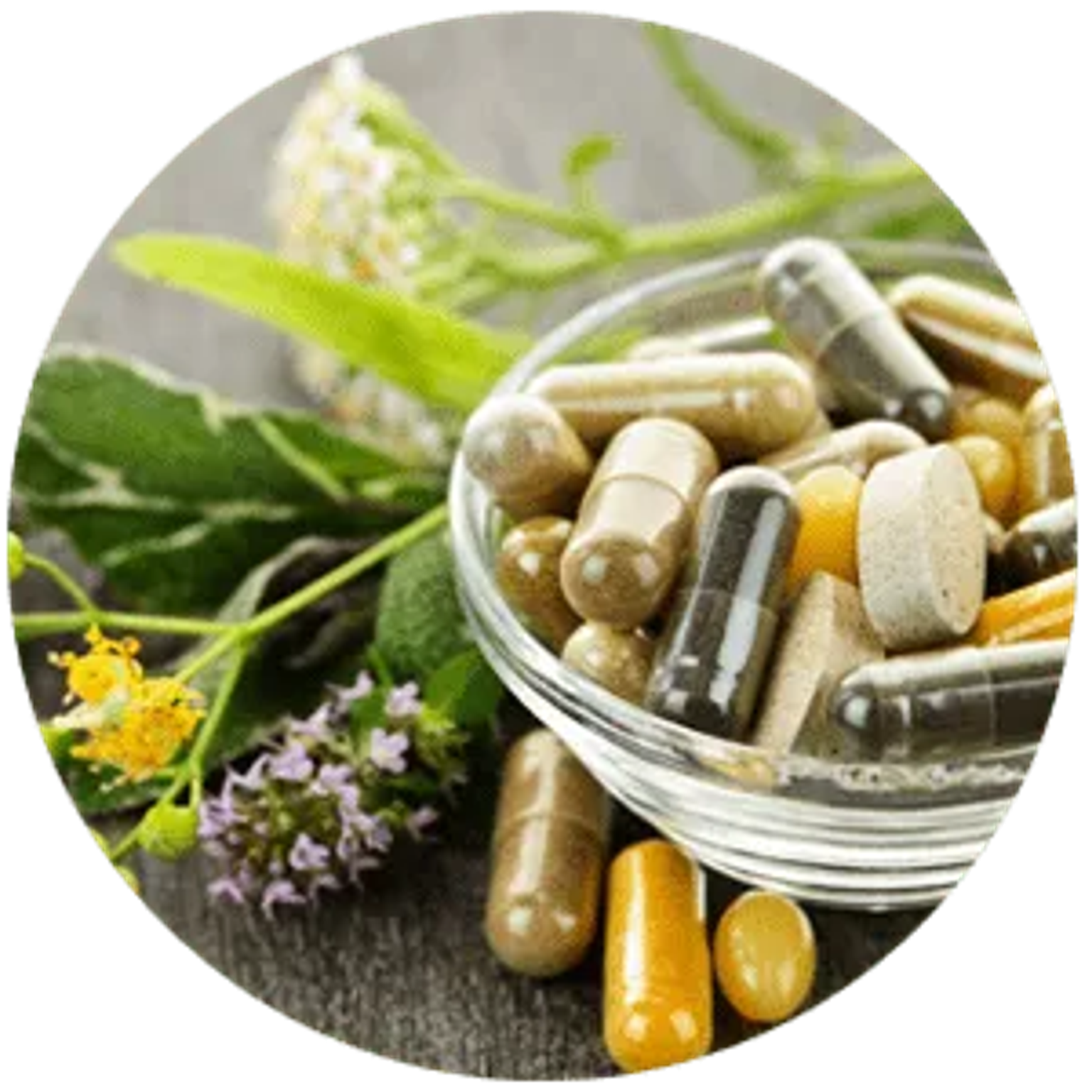 Close-up of herbal capsules in a small bowl with leaves and yellow flowers in the background