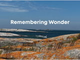 Remembering Wonder