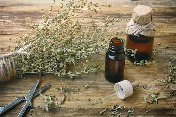 Wormwood (Artemisinin) for Gut Health: What It Is, How It Works, and When to Use It