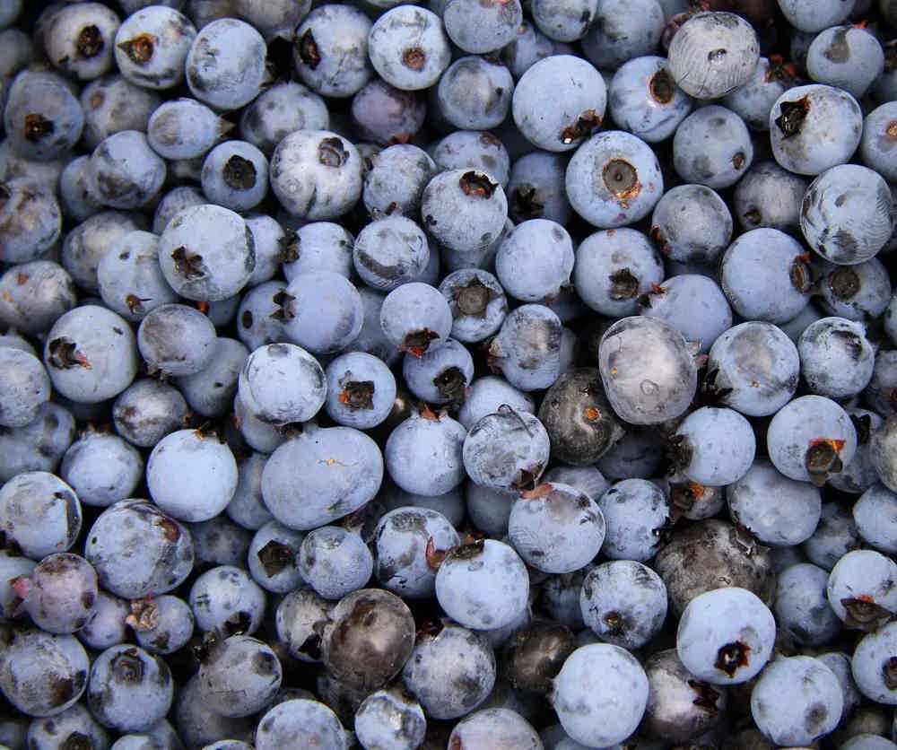 Berry Good Antihistamine Smoothie