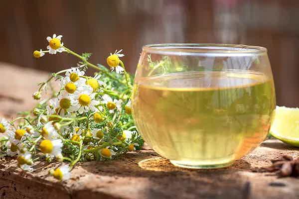 Chamomile for Gut Health: What the Research Really Says