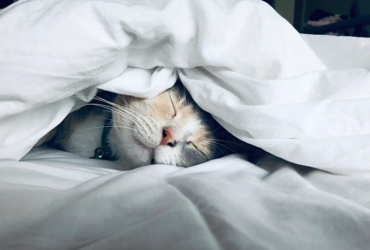 Menopause and Sleep: Why You’re Wide Awake at 3 am (And What Helps)