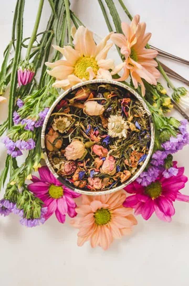 Vitalist Naturopathic Medicine vs. Functional Medicine: What’s the Real Difference?