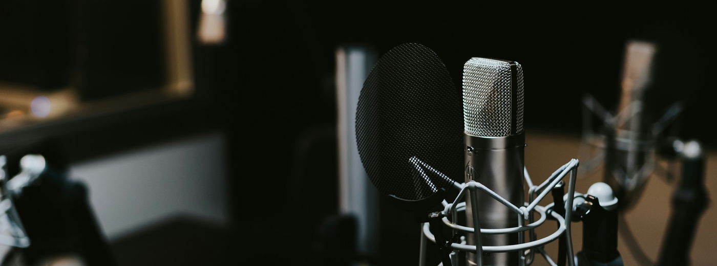 macro photography of silver and black studio microphone condenser