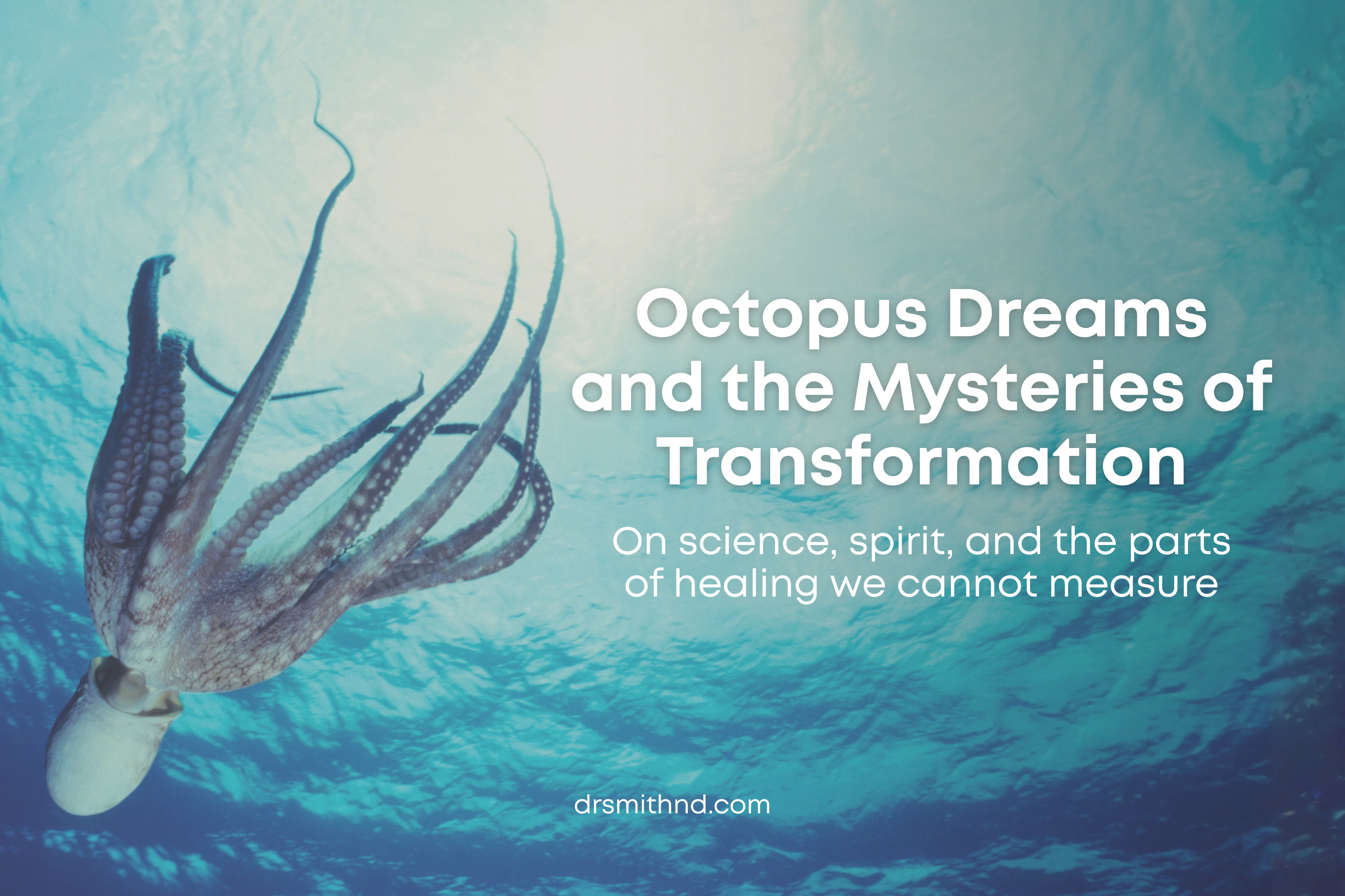 Underwater scene with a large octopus and blue light rays; text reads “Octopus Dreams and the Mysteries of Transformation.”
