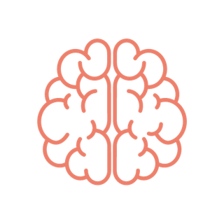 Brain icon