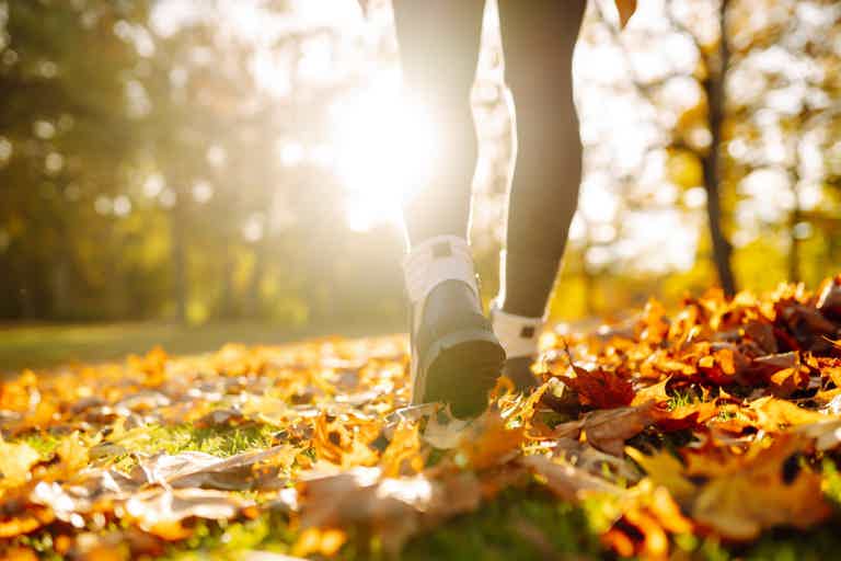Mindful wellness