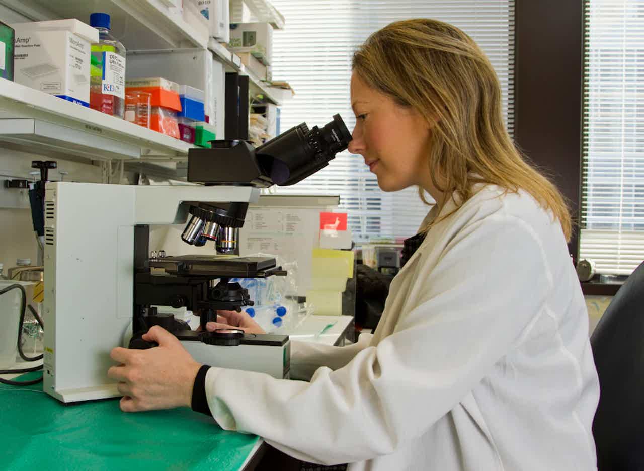 Laboratory researcher using a microscope in a bright lab, examining a sample on the stage.