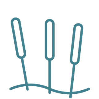 acupuncture needles icon