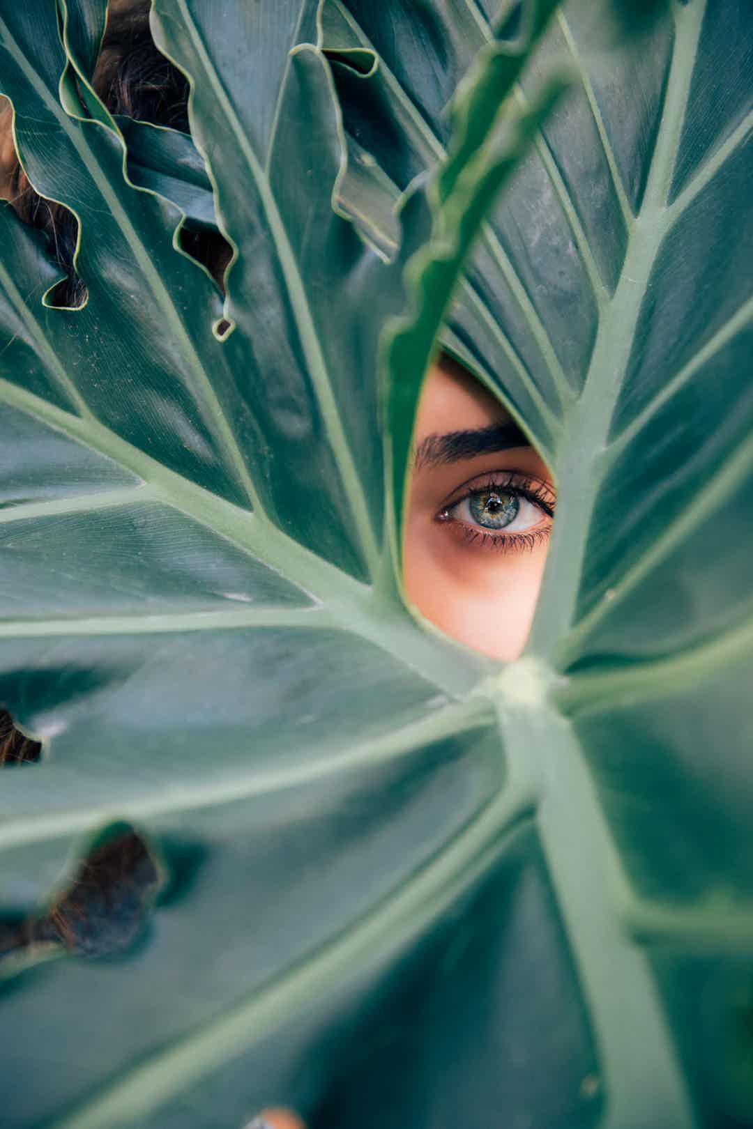 Menopause and Allergies: Causes, Symptoms, and Treatments for Midlife Reactions