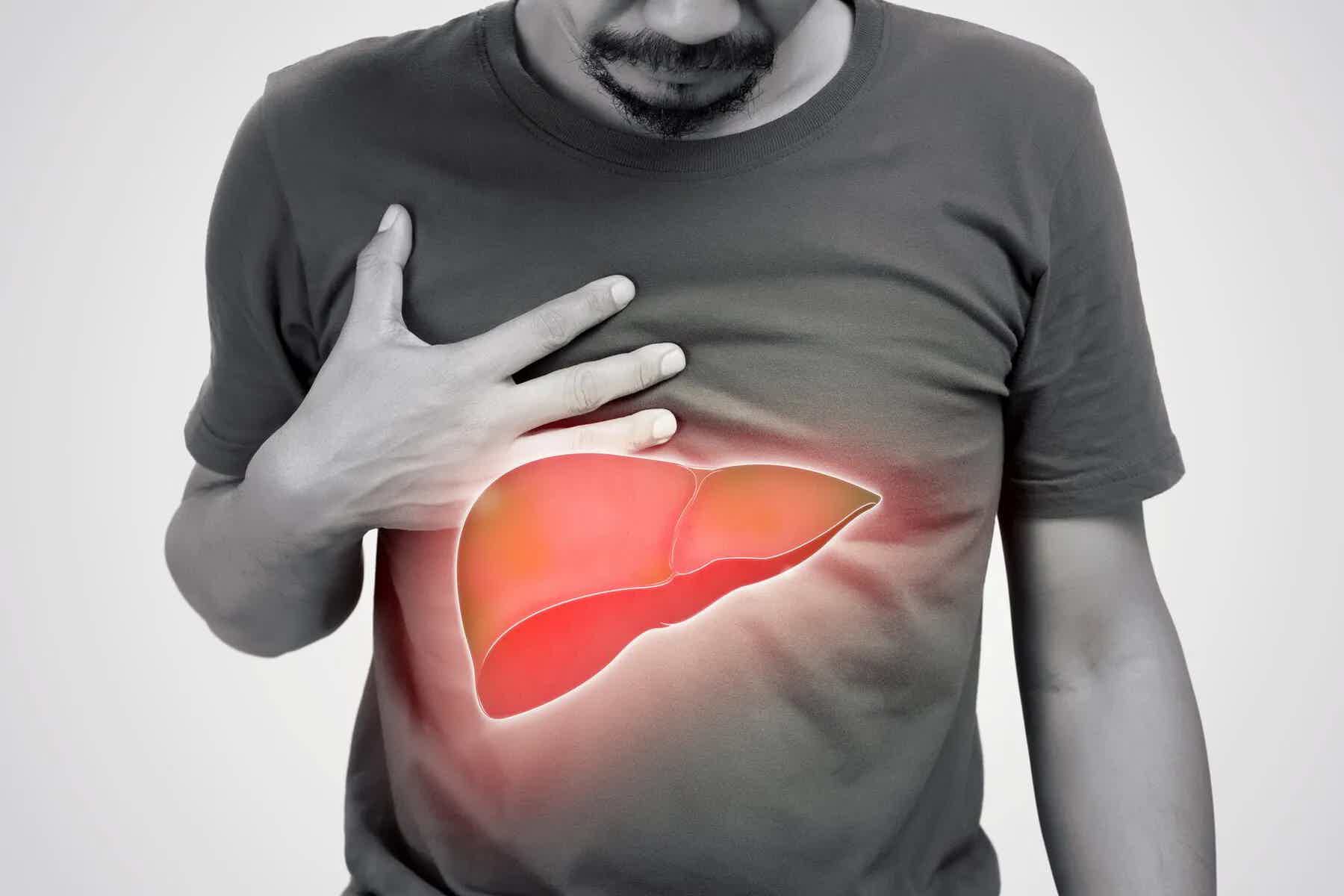 What Are Liver Enzymes (ALT, AST, Alkaline Phosphatase)? And When Should You Be Concerned?