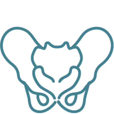 Outline of a heart-shaped rose with petal contours and a wavy line across the top.