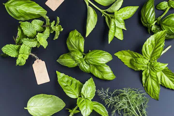 7 Herbs for Female Hormone Balance