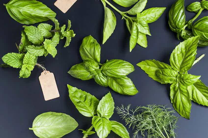 7 Herbs for Female Hormone Balance