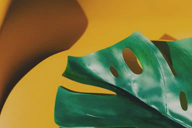 Do you have a GP? If not, this article is for you | Clementine