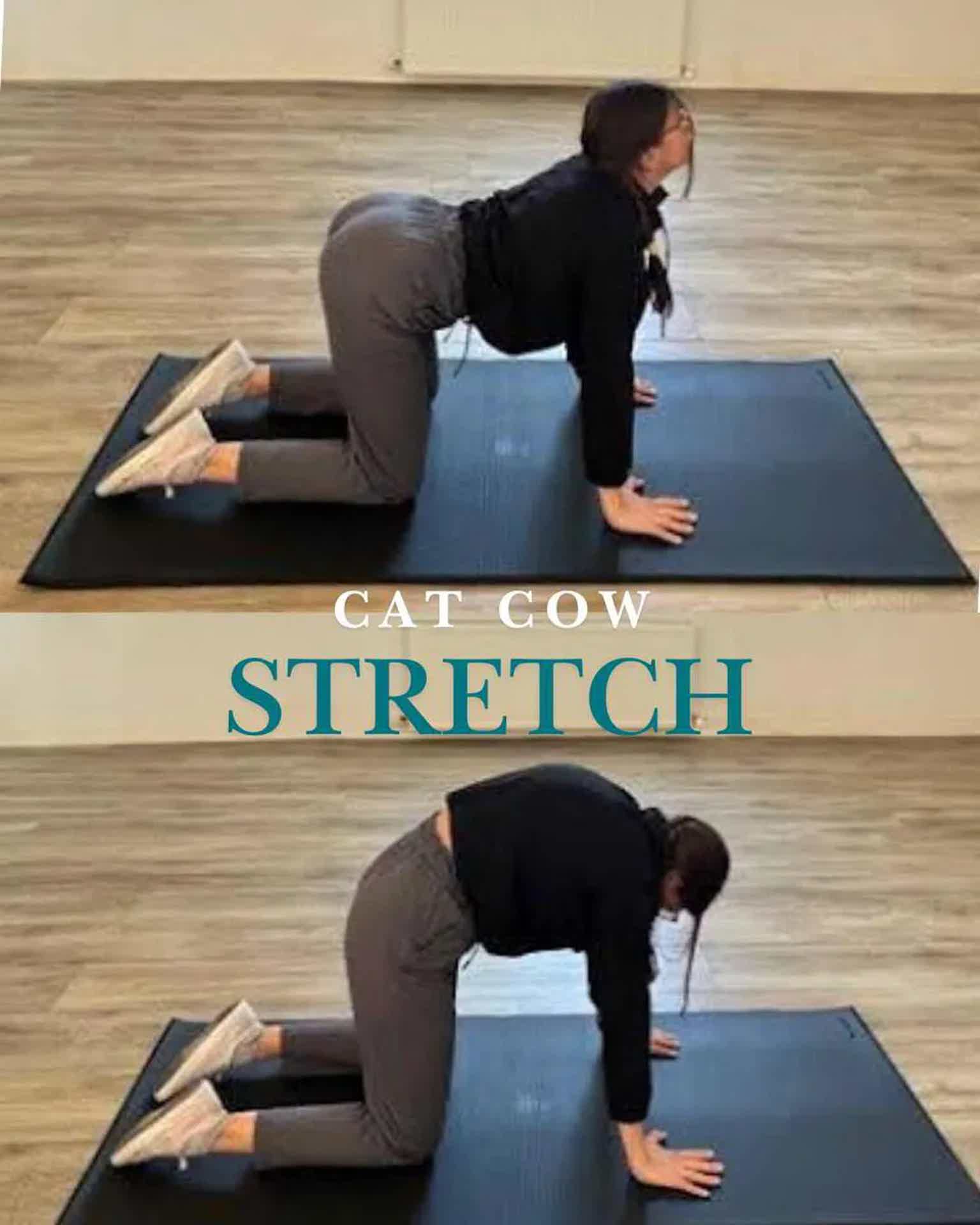 Cat Cow Stretch