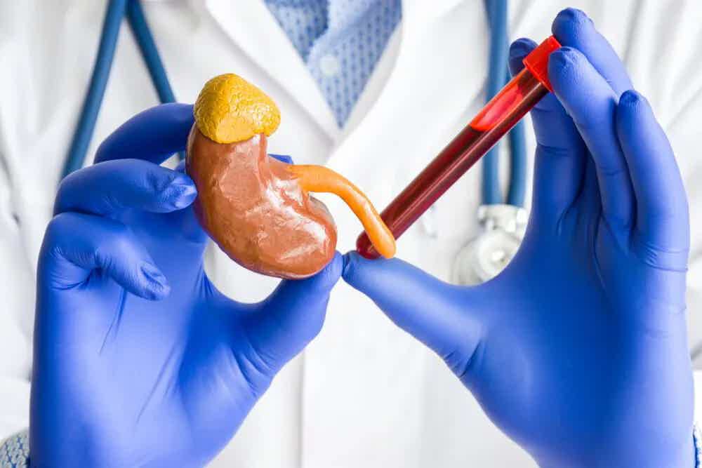 STRESS AND THE HORMONE CONNECTION