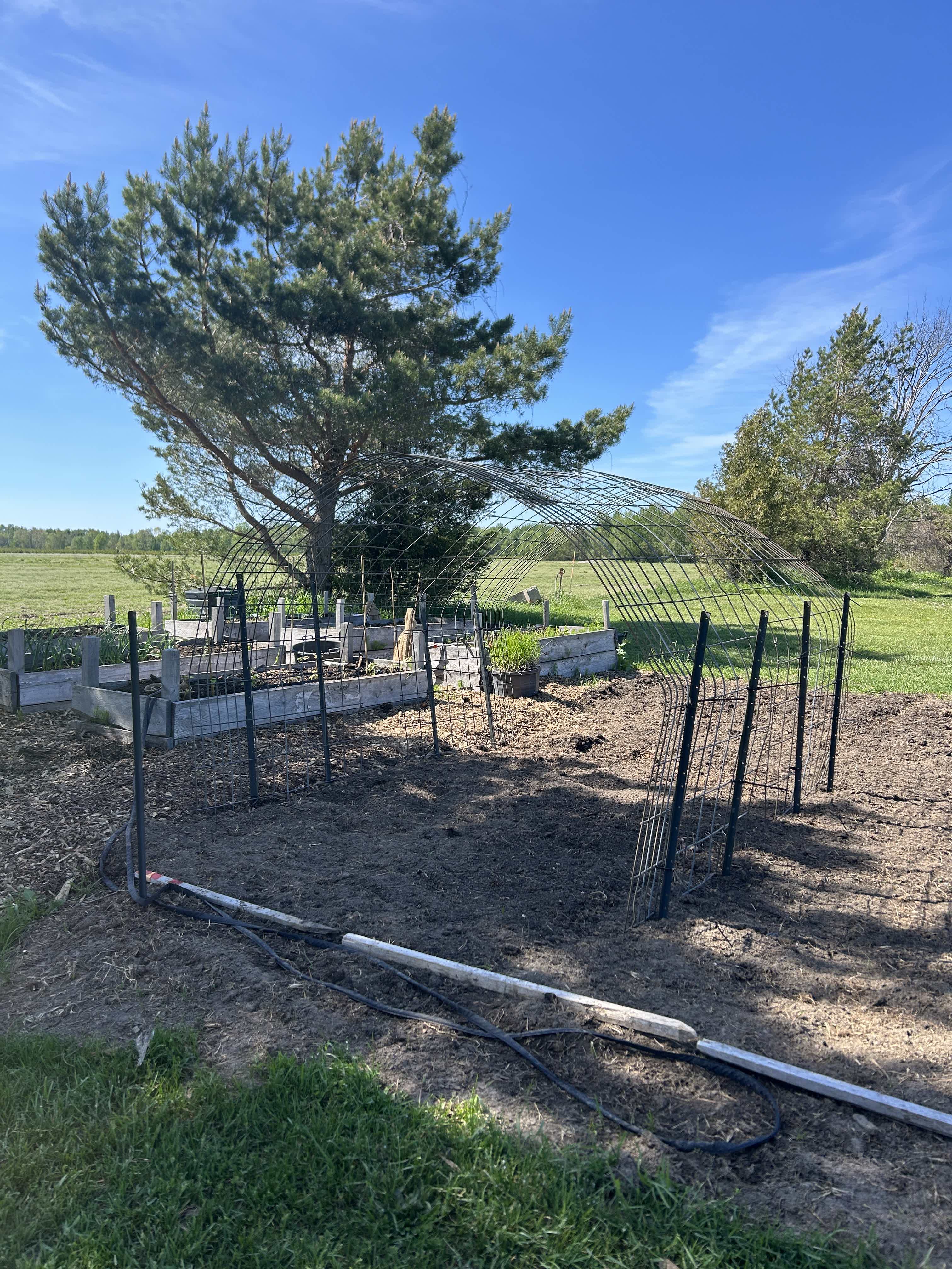 Metal hoop greenhouse frame over raised beds in a grassy field, with trees and blue sky behind it.