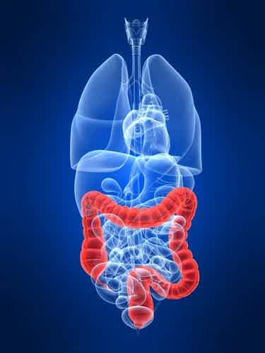Constipation? Get Moving Naturally