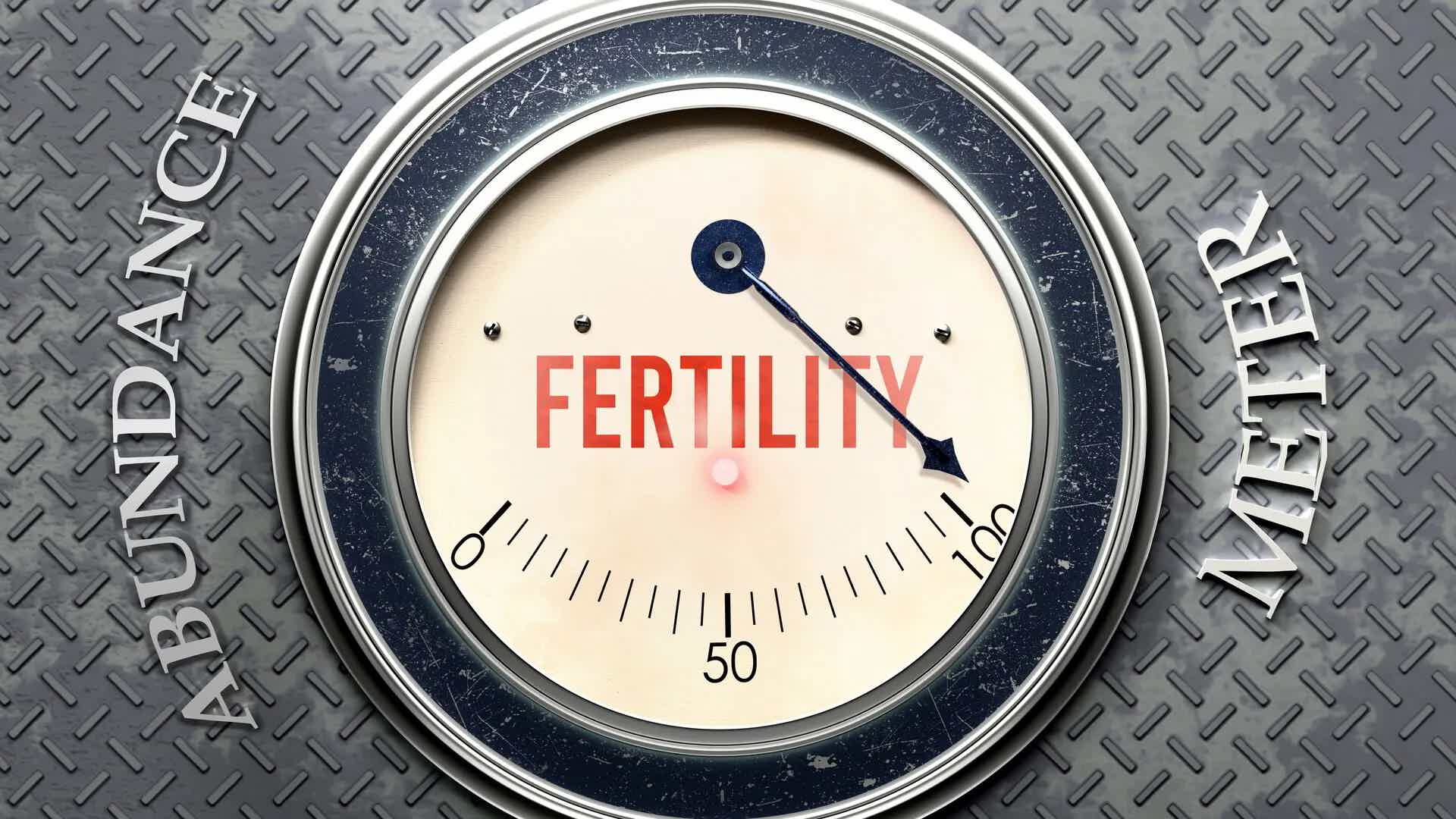 Fertility Optimization: 5 Key Areas to Focus On