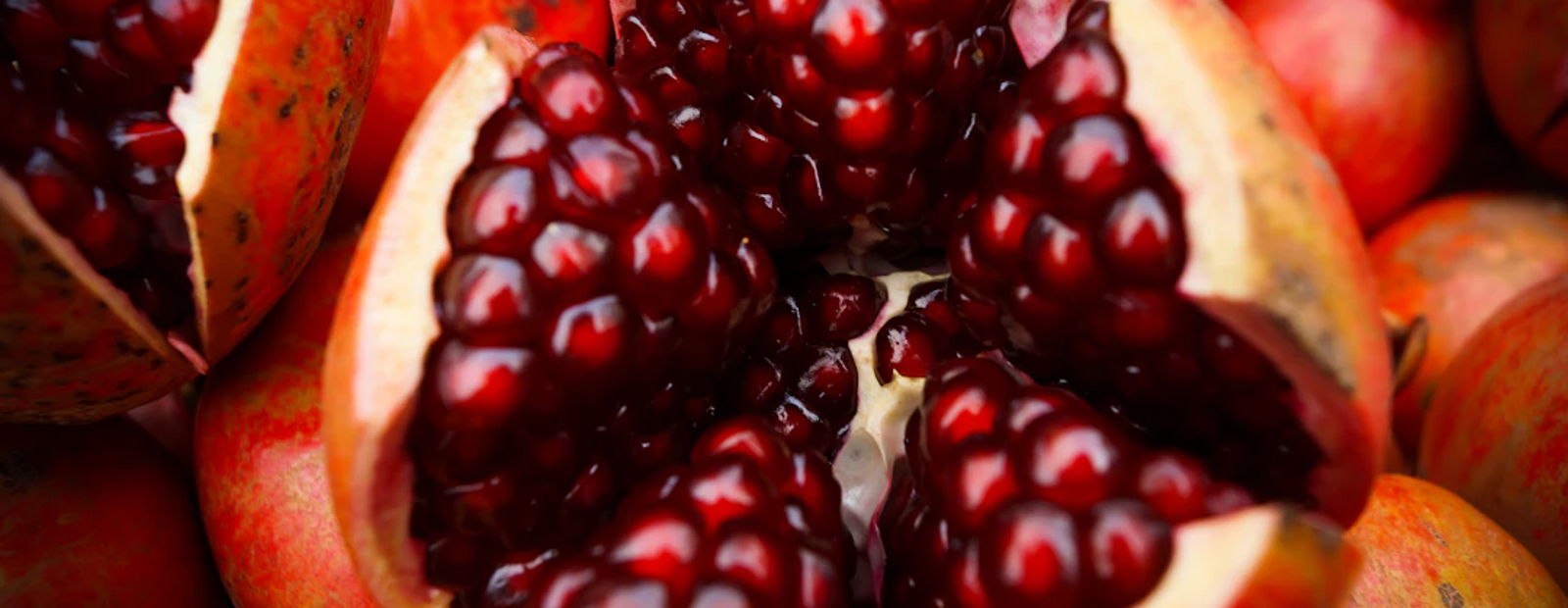 blossum blog header