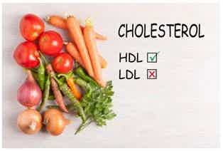 How Optimizing Gut Health Can Keep Your Cholesterol Levels in Check