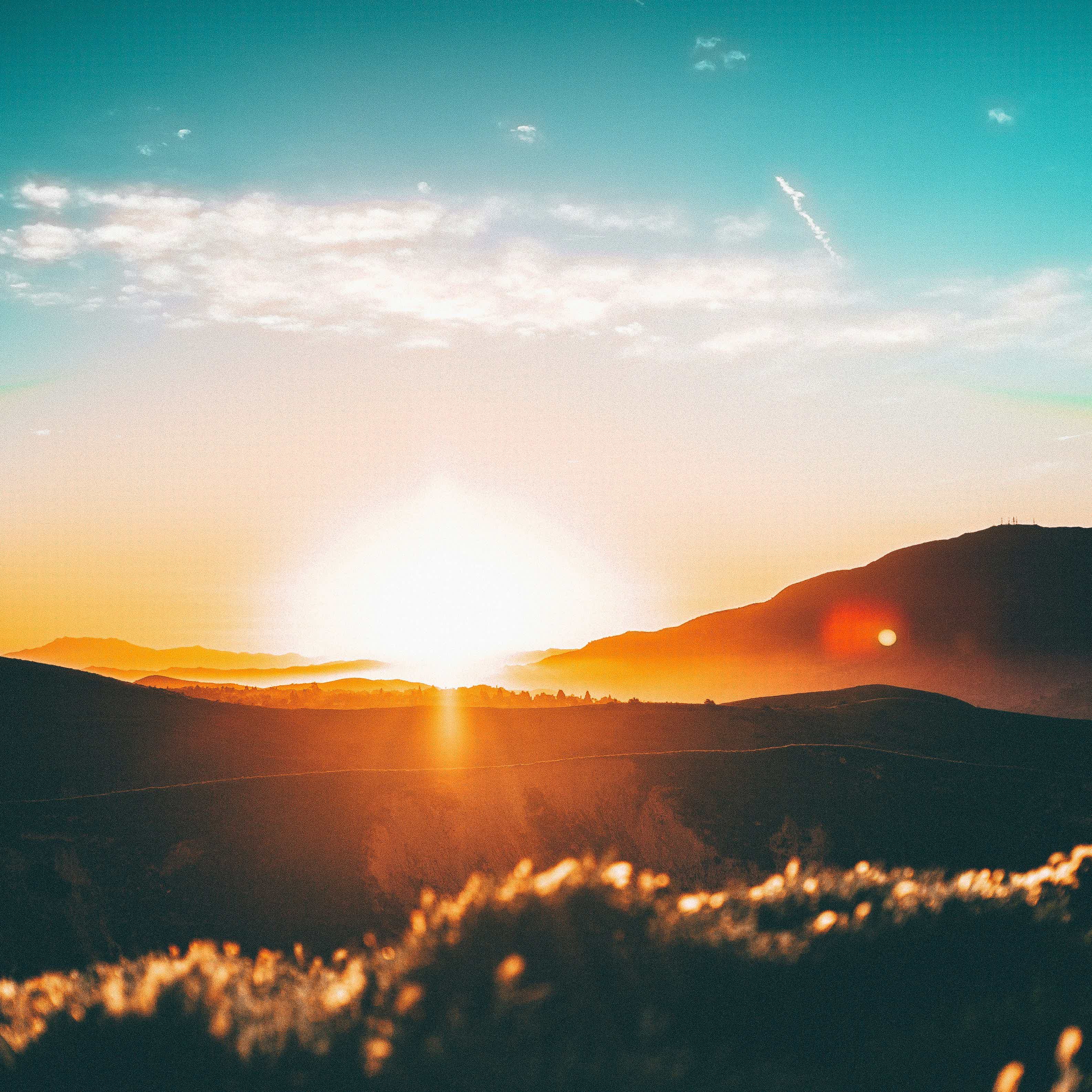 Sunset over rolling hills with misty valley, warm light beams, and scattered foreground flowers in soft focus.