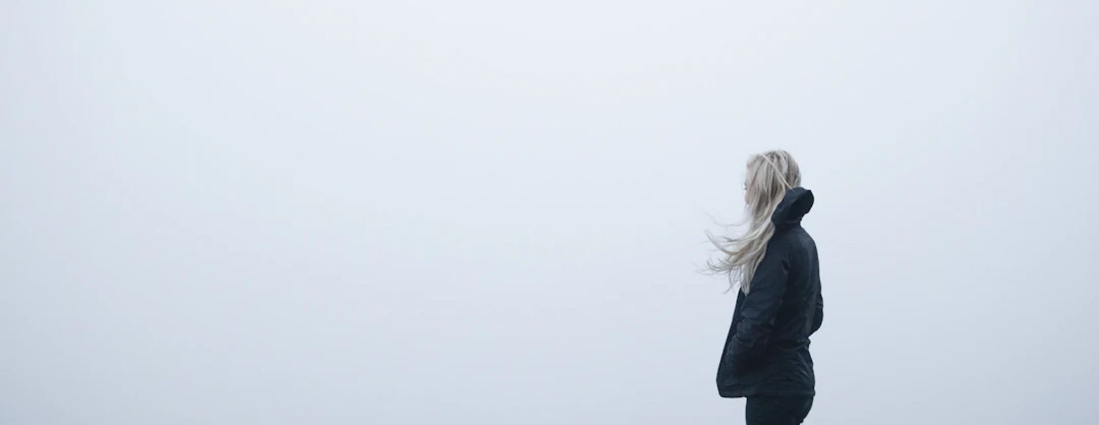 blossum blog header