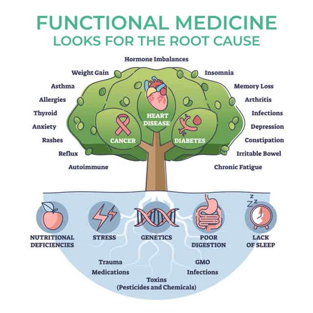 Illustration of heart disease and diabetes under “functional medicine” root-cause tree with symptom and trigger icons.