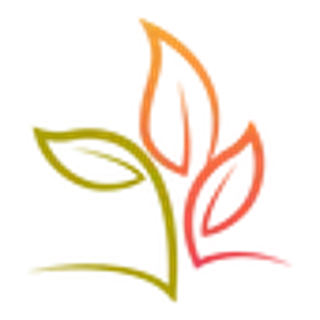 Stylized, multicolored leaf design with intertwining shapes in green, yellow, orange, and pink.