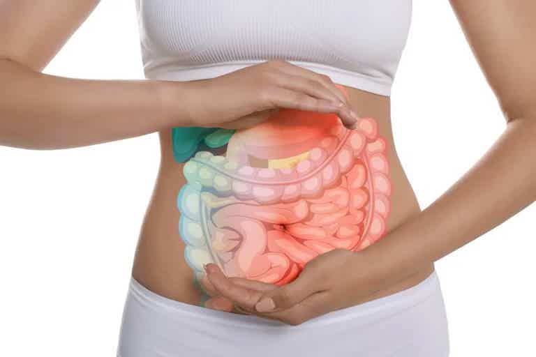 Person holding abdomen with overlay of digestive system, indicating discomfort or health concept.