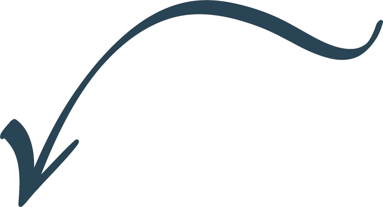 Curved dark blue swoosh with pointed tail, forming an abstract calligraphic stroke.