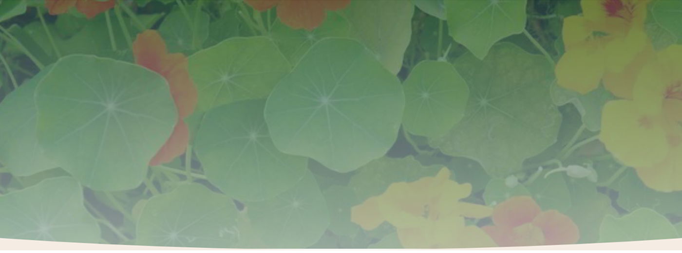 blossum blog header