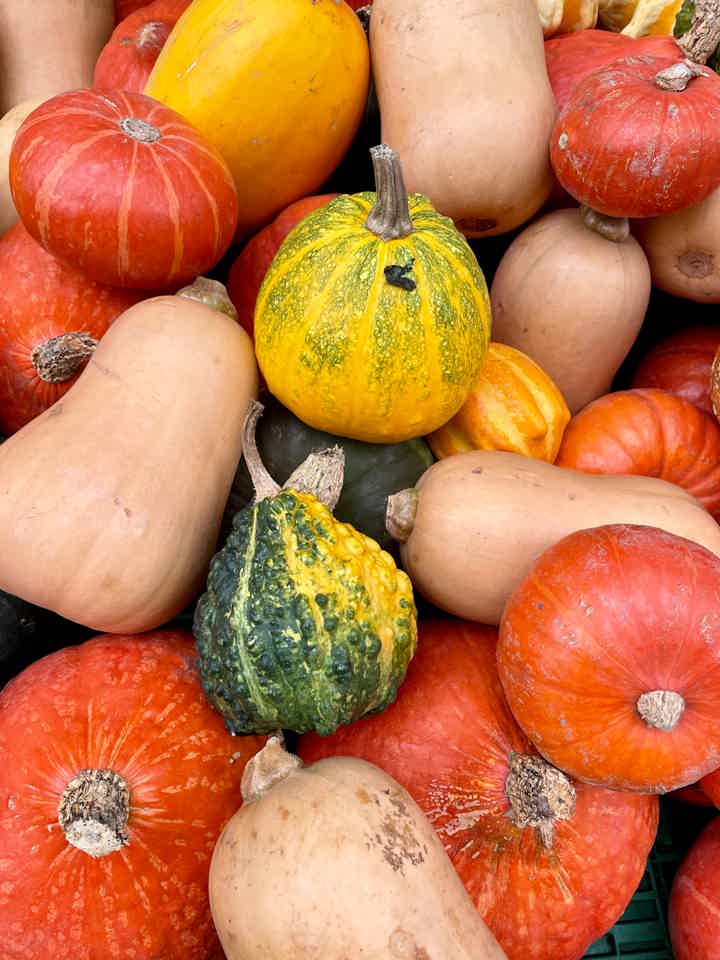 Is Your Gut Out of Sync With the Season?
