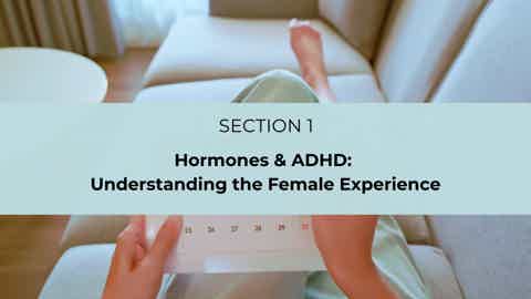 Person holding open pregnancy test card over couch; text: “SECTION 1 Hormones & ADHD: Understanding the Female Experience”