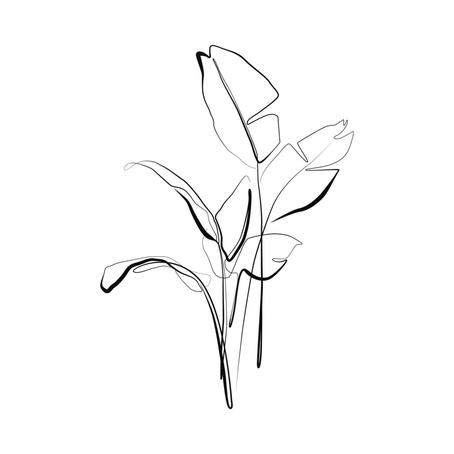 Leafy stem with several elongated leaves, simple lines, thin plant sketch on black background.