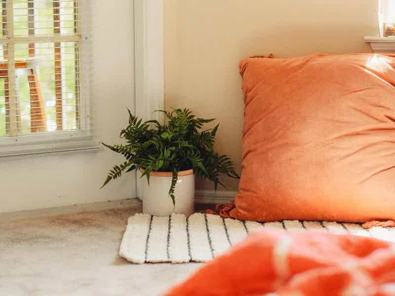 Recognizing the Symptoms of Fibroids | Clementine