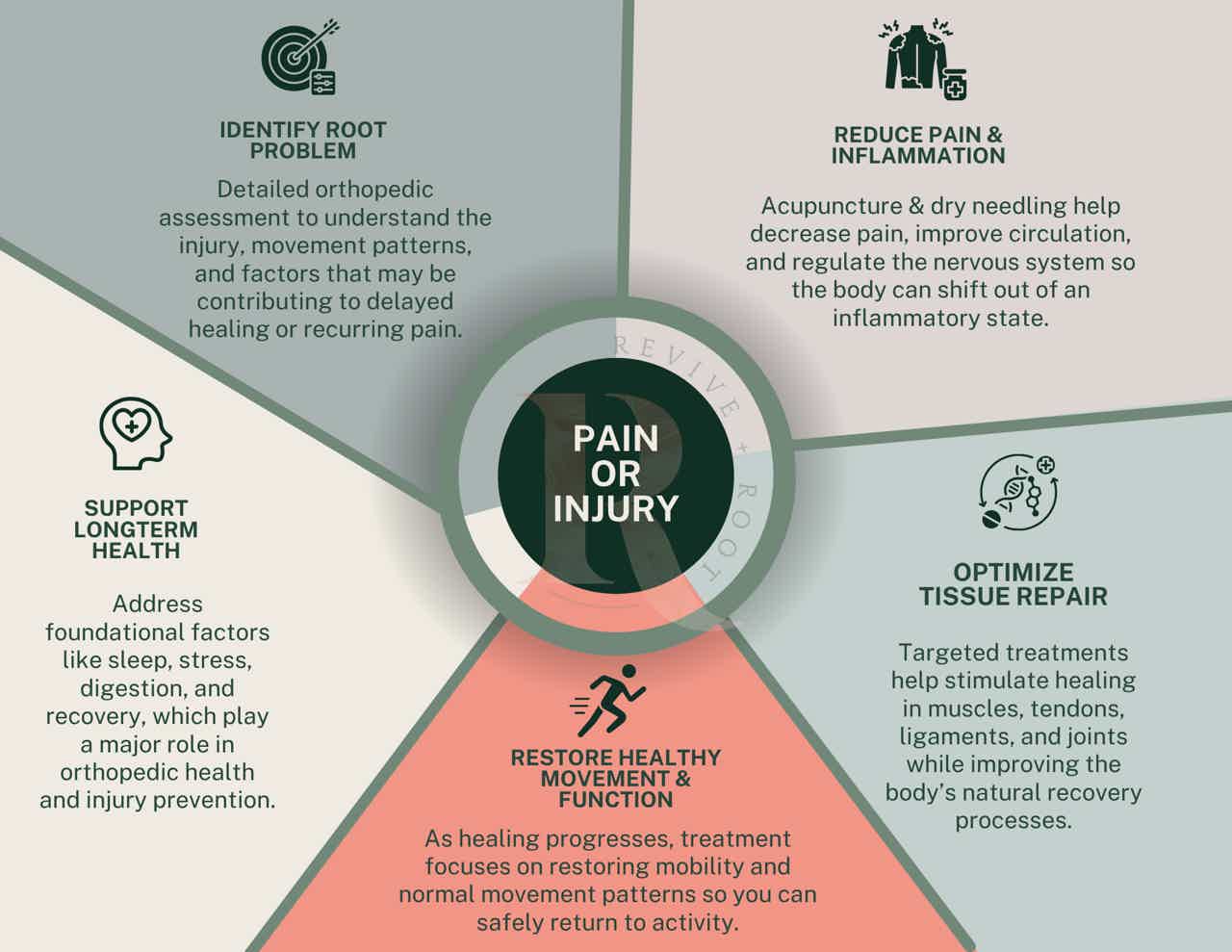Diagram explaining pain/injury recovery: identify root causes, reduce pain, support long-term health, optimize repair, restor