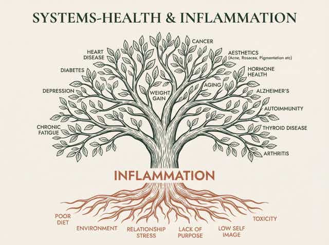 Tree diagram linking body systems to inflammation causes: cancer, diabetes, arthritis, hormones, aging, plus poor diet and st