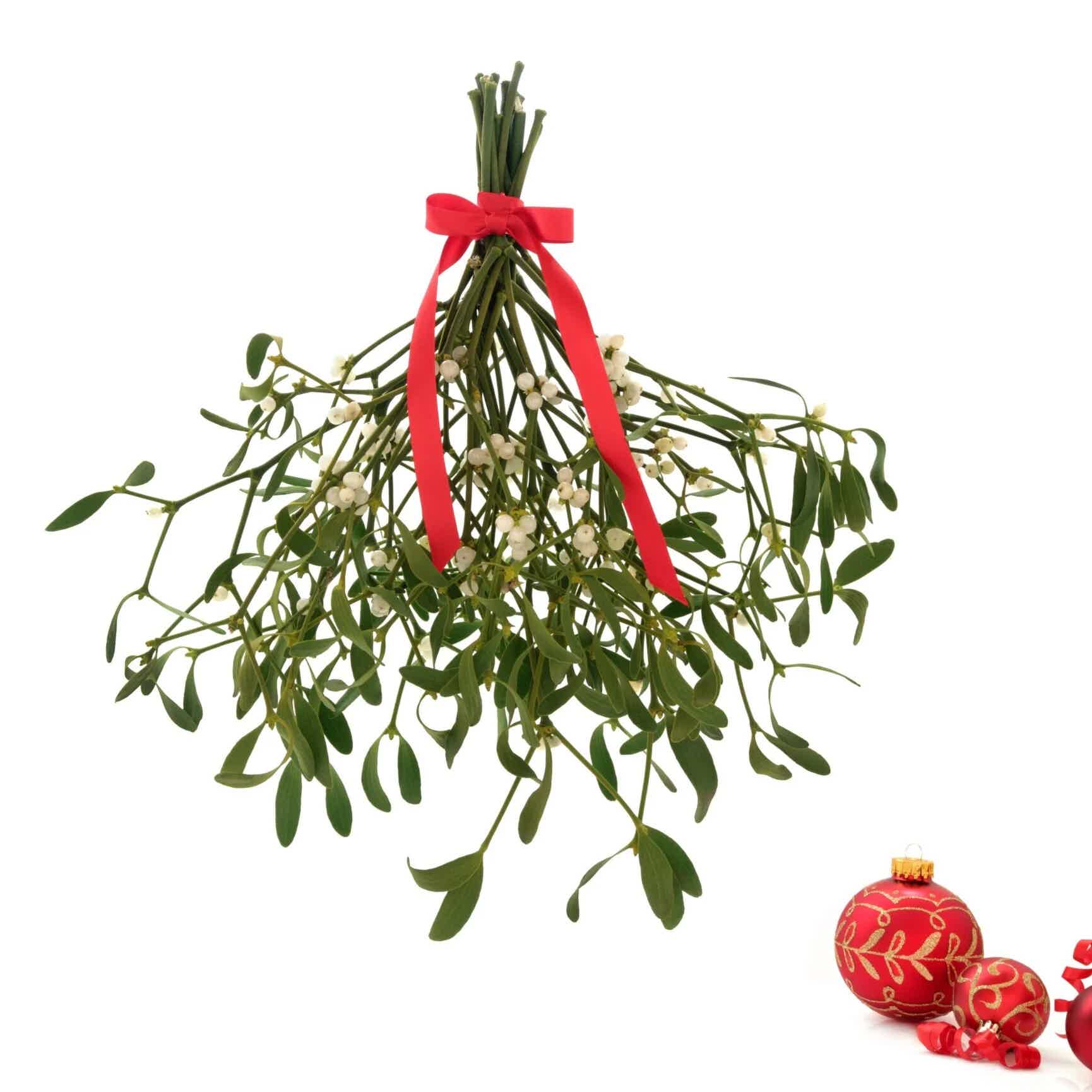 Festive+Mistletoe.jpg